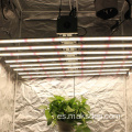 Sistema de sala de luz de cultivo hidropónico de LED interior